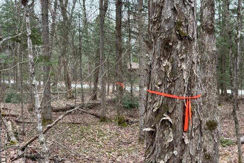 Additional image 8 of Lot 1 Loch Erne Road, Mcdougall, ON, P2A 2W7
