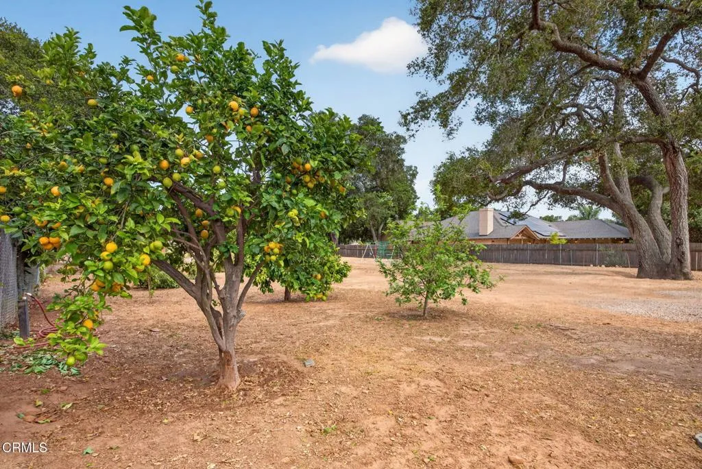 Additional image 113 of 1186 S Rice Road, Ojai, CA 93023