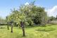 Additional image 12 of Upton Scudamore, Warminster