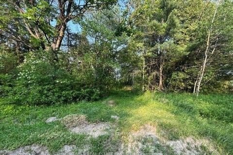 Additional image 7 of 34541 Conc 8-9 East Luther Grand Valley N/a, East Luther Grand Valley, ON, L9W 0H2