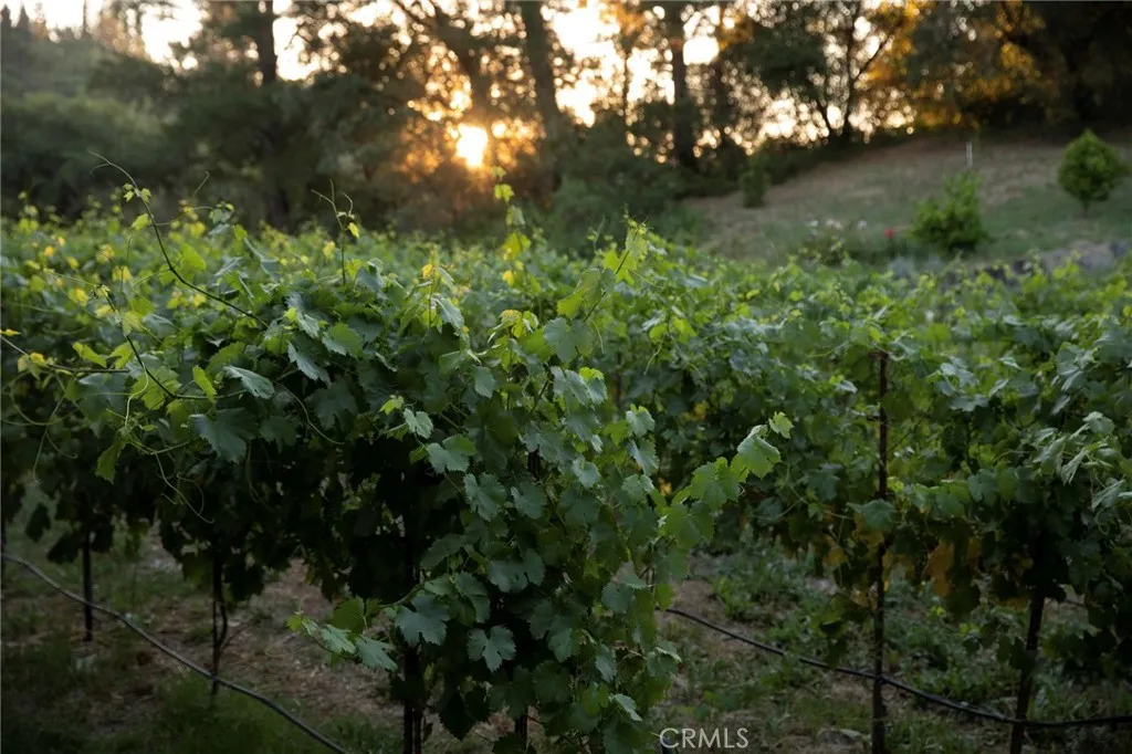 Additional image 47 of 766 Westside Rd, Healdsburg, CA 95448
