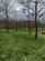 Additional image 11 of Tynreithyn, Tregaron SY25