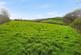 Additional image 3 of Trewidland, Liskeard PL14