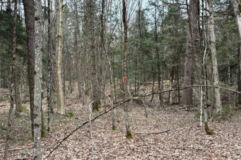 Additional image 7 of Lot 1 Loch Erne Road, Mcdougall, ON, P2A 2W7