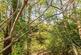 Additional image 34 of Elvaston Park Road, Hexham NE46