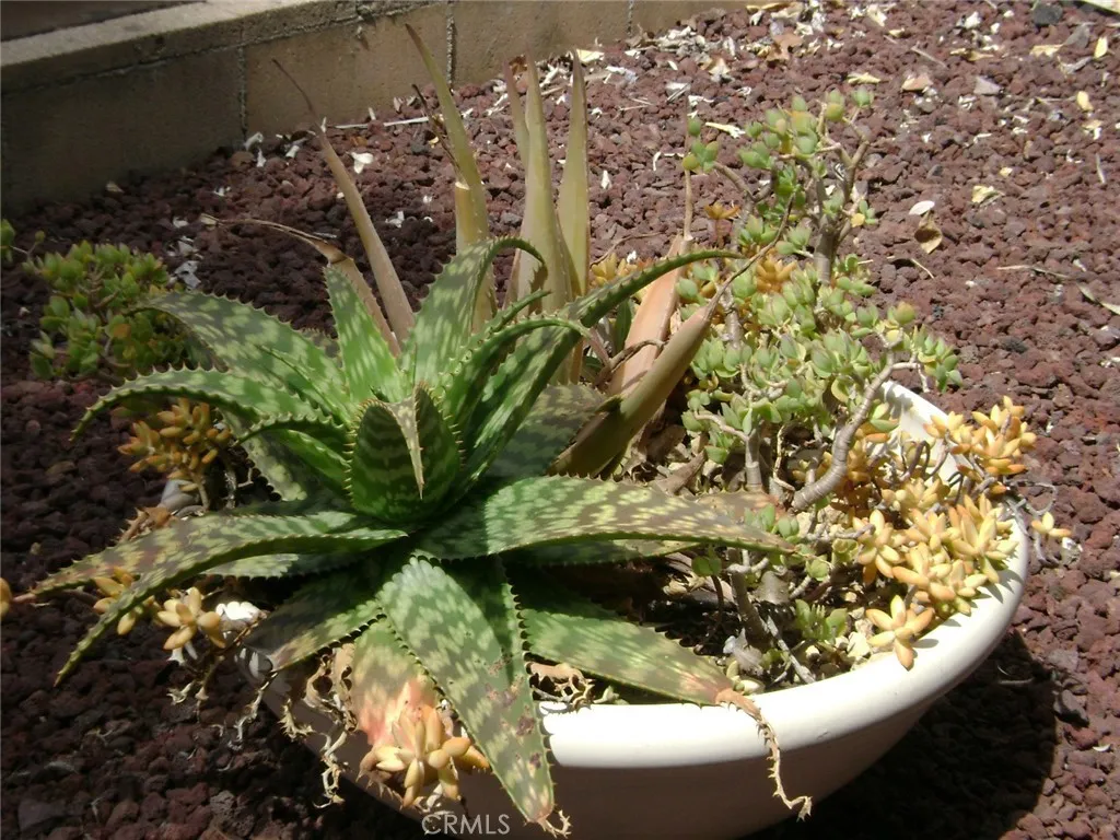 Additional image 58 of 30710 Palmetto Palm Ave, Homeland, CA 92548