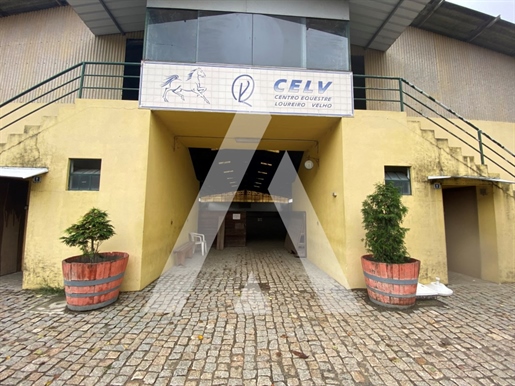 Additional image 3 of Fermentões (Guimarães)