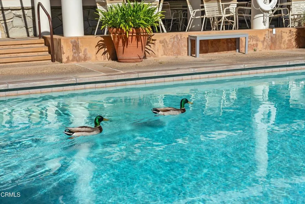 Additional image 23 of 2559 Plaza Del Amo Unit 111, Torrance, CA 90503