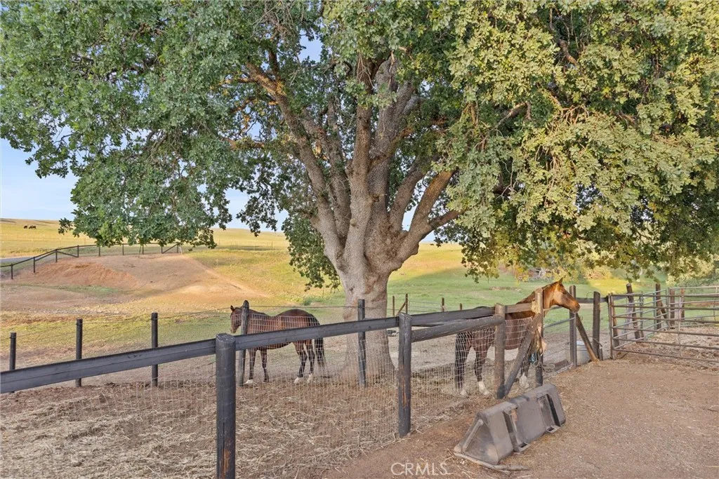 Additional image 14 of 5535 Janine Way, Corning, CA 96021