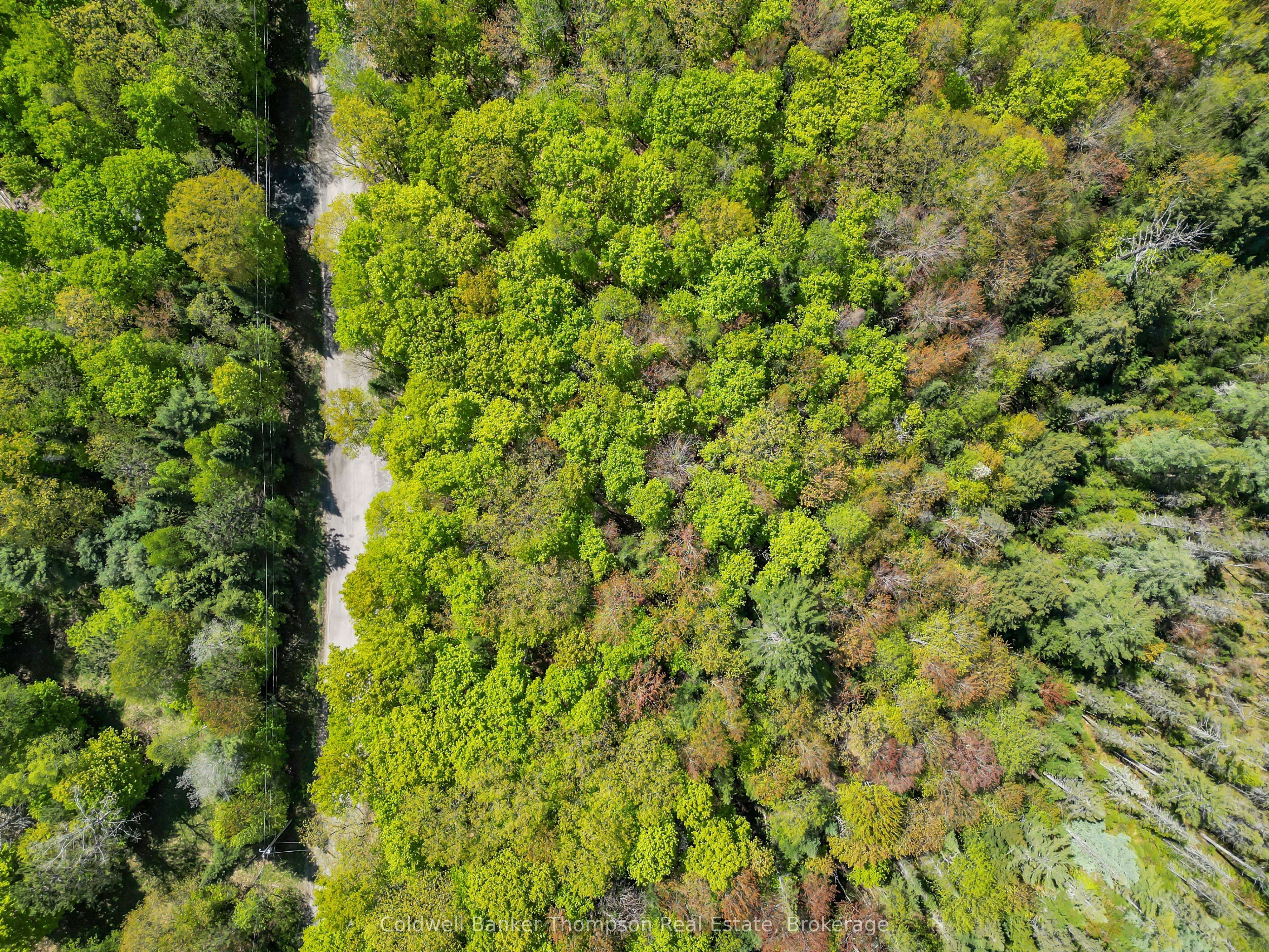 Additional image 4 of 989 North Waseosa Lake Road, Huntsville, ON, P1H 2J4