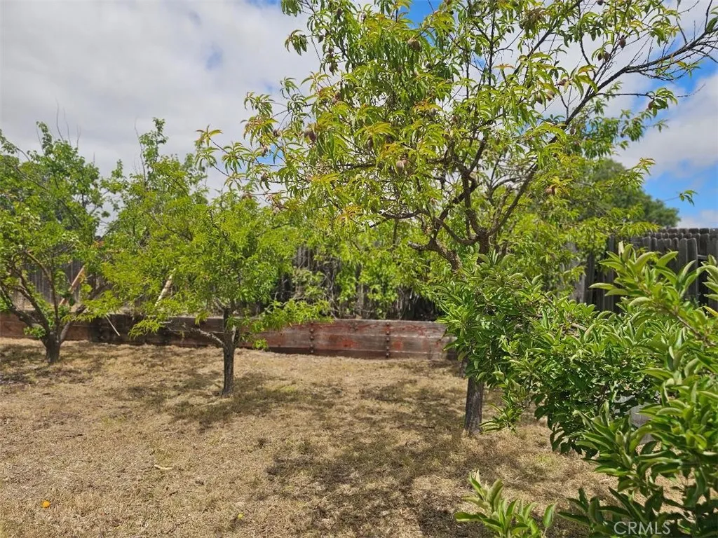 Additional image 36 of 780 Salinas Ave, Templeton, CA 93465