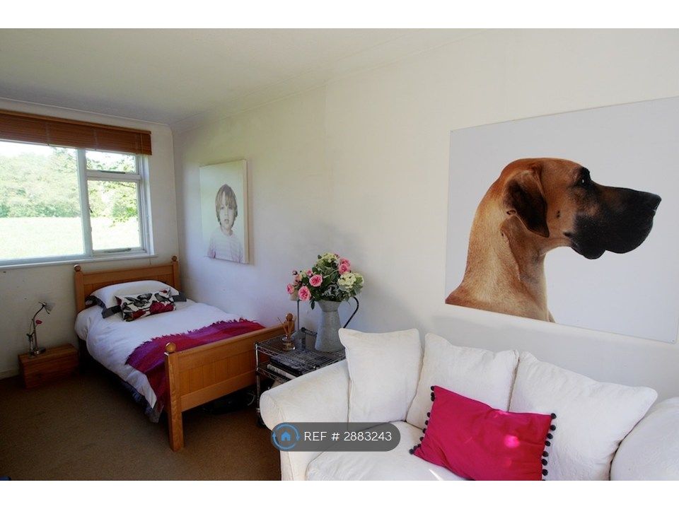 Additional image 18 of 4 bed detached house to rentLower Road, Forest Row RH18