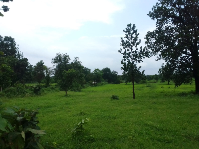 Murbad, Thane photo 2