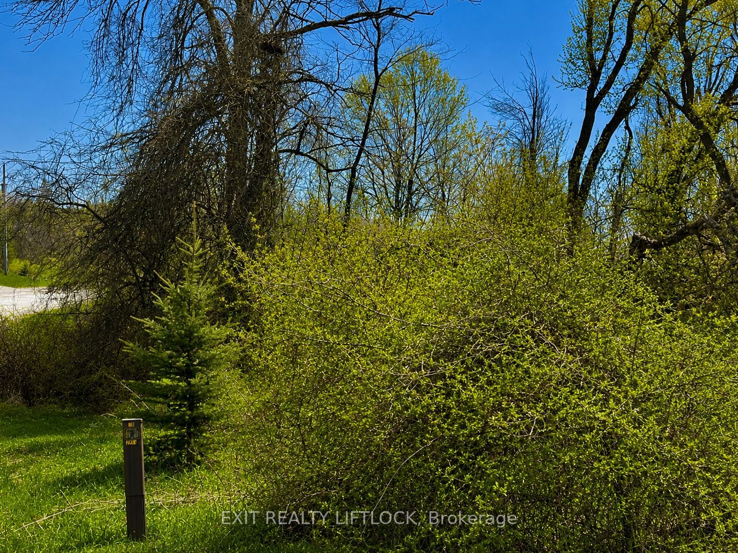 Additional image 4 of 0 Maple Ridge Drive, Kawartha Lakes, ON, K0L 2W0