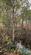 Additional image 14 of Chiffchaff Wood (6 and a half acres), Whitney-on-Wye, Hay-on-Wye, Herefordshire HR3