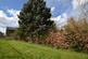 Additional image 9 of Iris Close, Burniston, YO13