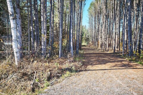 Additional image 8 of 1304 Old North Road, Huntsville, ON, P1H 2J4