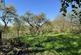 Additional image 51 of The Old Vicarage, Rushton Spencer