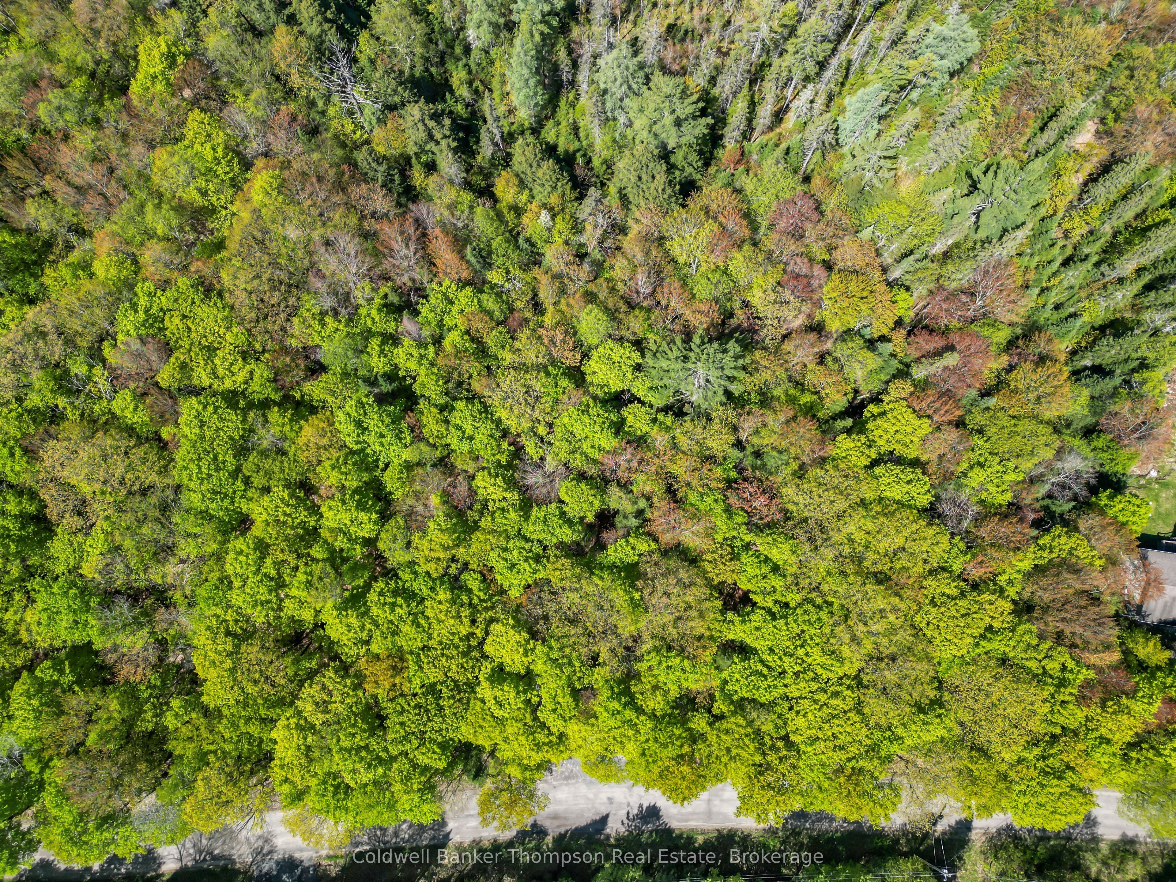Additional image 3 of 989 North Waseosa Lake Road, Huntsville, ON, P1H 2J4