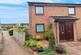 Showfield, Brampton