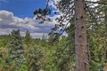 Additional image 50 of 804 Sierra Vista Dr, Twin Peaks, CA, 92391
