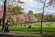Additional image 25 of West Newington Place, Newington, Edinburgh, EH9