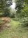Additional image 13 of Chiffchaff Wood (6 and a half acres), Whitney-on-Wye, Hay-on-Wye, Herefordshire HR3