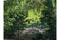 Additional image 35 of 186 Belgian Dr, Danville, CA, 94526