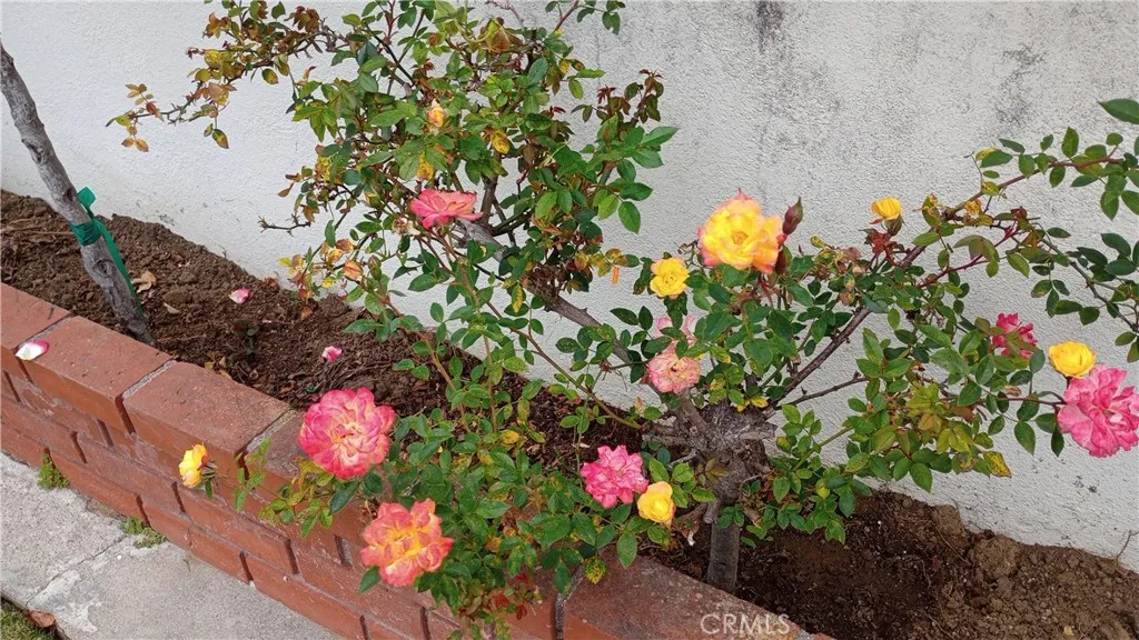 Additional image 120 of 37 Hastings Avenue, Ventura, CA 93003
