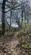 Additional image 20 of Brilley Wood (about 5 and a half acres), Whitney-on-Wye, Hay-on-Wye, Herefordshire HR3