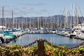 Additional image 27 of 1518 Clement Ave, Alameda, CA, 94501