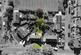 Additional image 23 of The Leases, Beverley