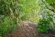 Additional image 30 of The Ormrods, Bury, Greater Manchester, BL9