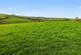 Trewidland, Liskeard PL14