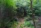 Additional image 2 of Adhamh Wood (just under 4 and a quarter acres), Benderloch, Oban, Argyle & Bute PA37
