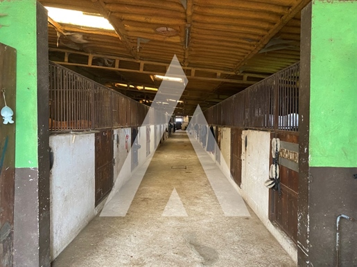 Additional image 12 of Fermentões (Guimarães)