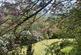 Additional image 19 of The Camb, 4 Coulter Road, Biggar, ML12 6EP