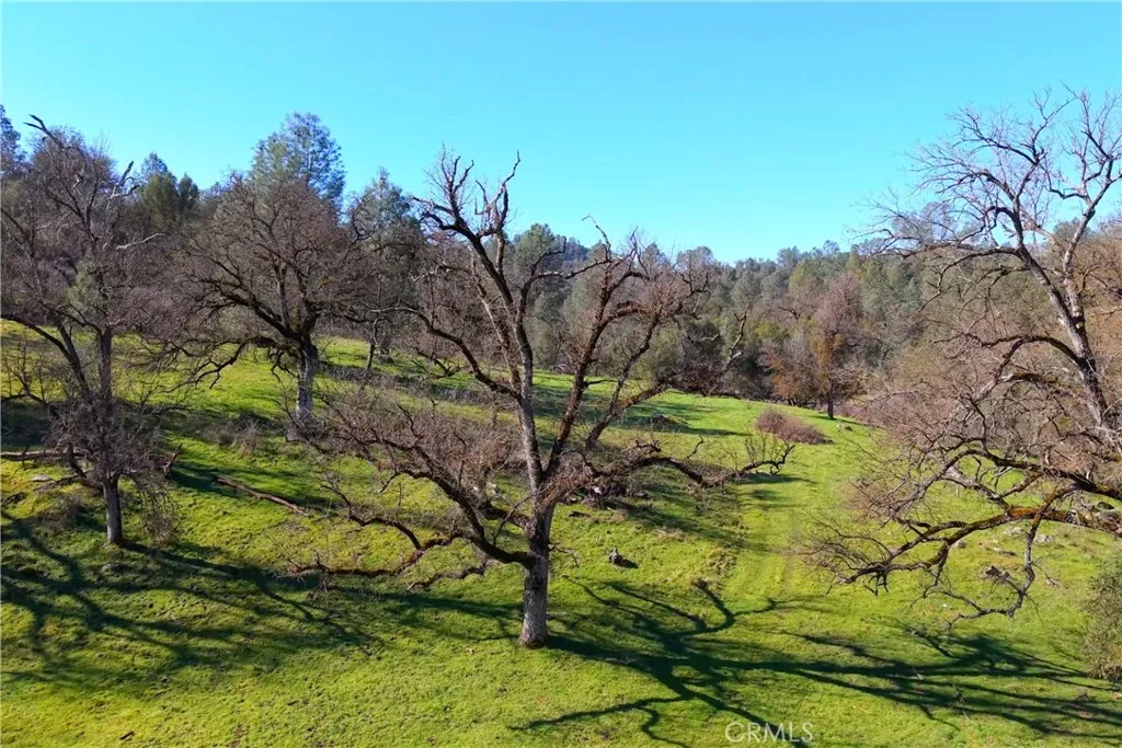 Additional image 69 of 3729 Ben Hur Road, Mariposa, CA 95338