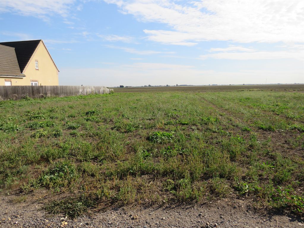 Additional image 6 of Land for saleWhittlesey Road, March PE15
