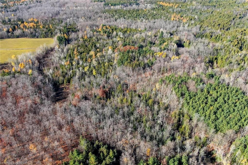 Additional image 3 of 9328 Wellington Road 50 Road, Erin, ON, N0B 1T0