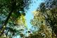 Additional image 11 of Mungo Wood, Benderloch, Oban, Argyle & Bute PA37