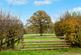 Additional image 30 of The Michaelchurch Estate, Michaelchurch Escley, Hereford, Herefordshire