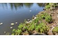 Additional image 54 of 552 Bean Creek Rd Spc 30, Scotts Valley, CA, 95066