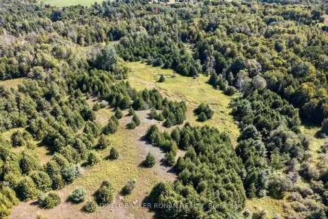 Additional image 8 of 8155 19th Side Road, King, ON, L0G 1T0