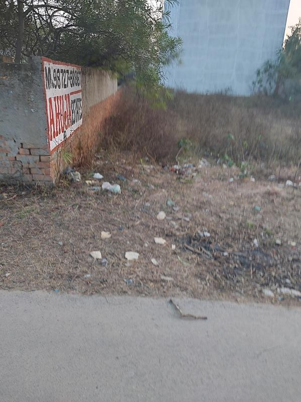 Sidhwan Canal Road, Ludhiana