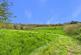 Additional image 34 of Stibb, Bude