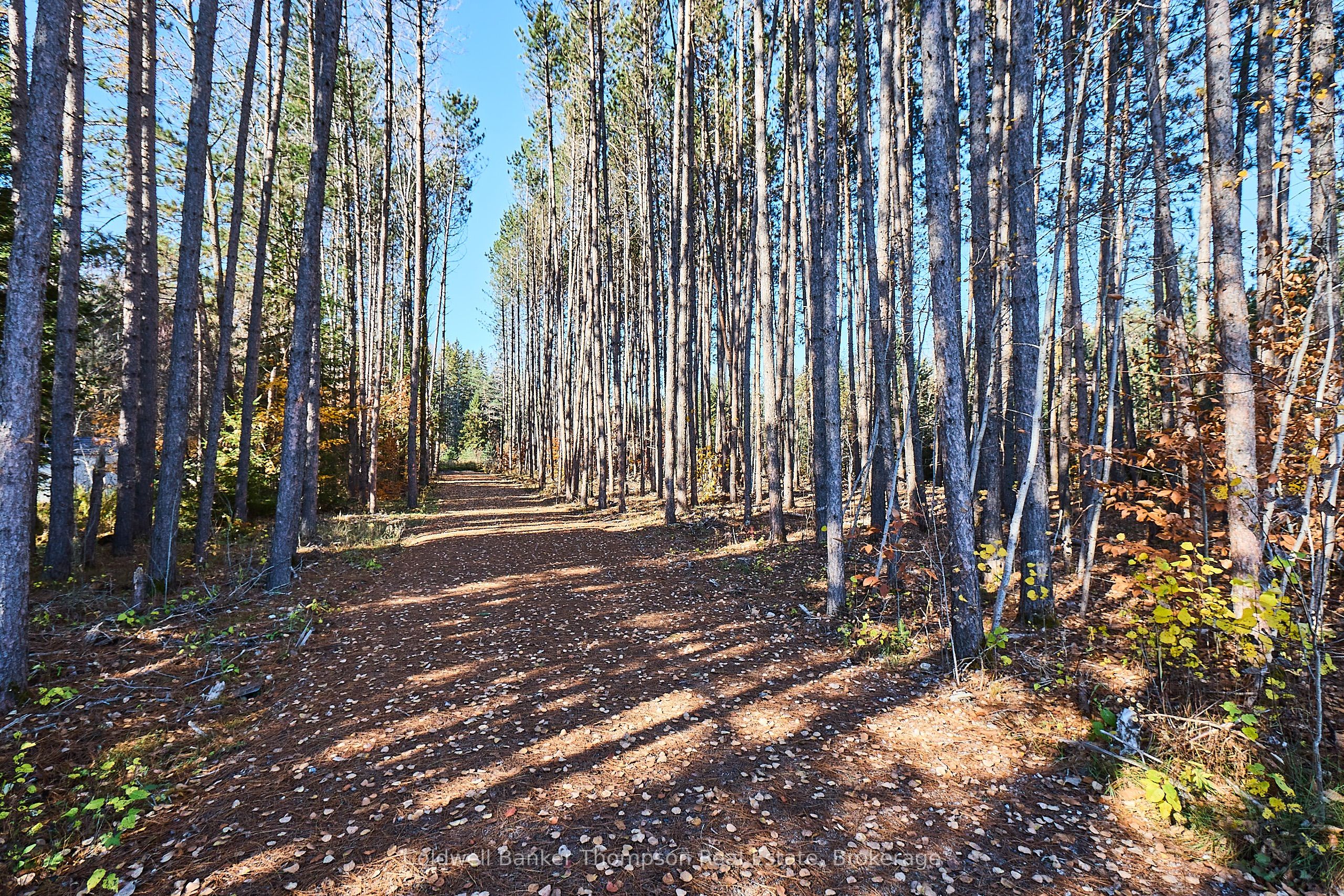 Additional image 4 of 1304 Old North Road, Huntsville, ON, P1H 2J4