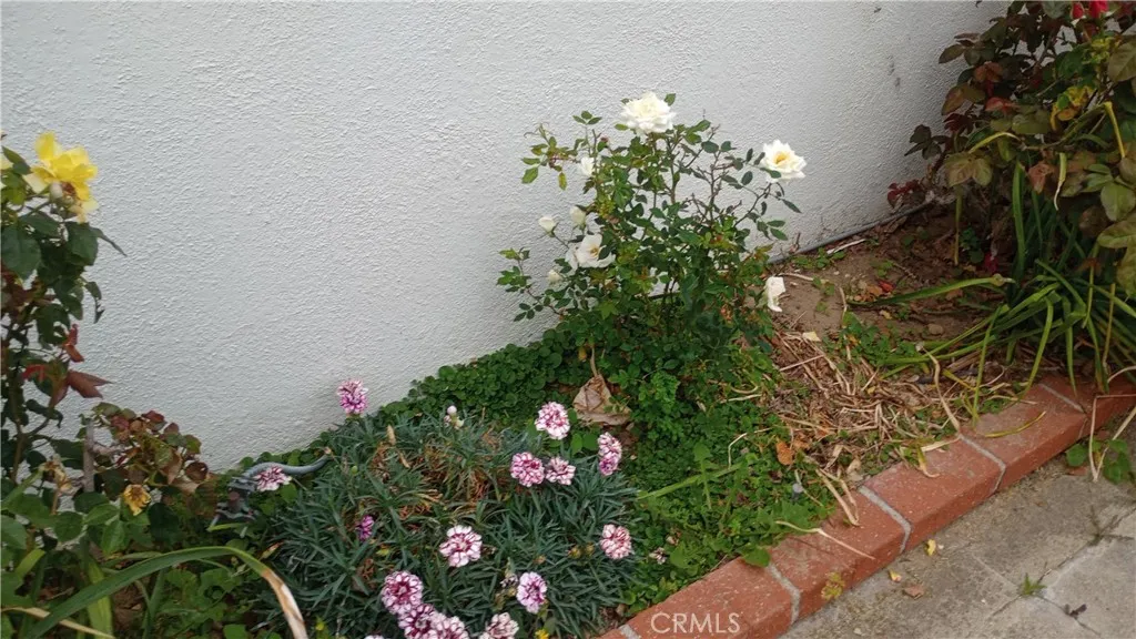 Additional image 106 of 37 Hastings Avenue, Ventura, CA 93003