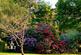 Additional image 17 of Ripsley Park, Milland, Hampshire