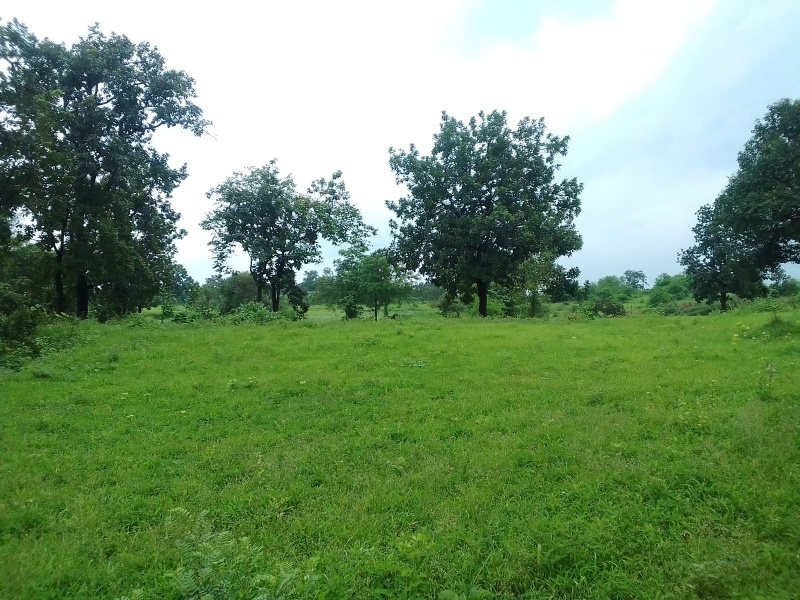 Murbad, Thane photo 3